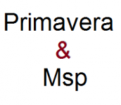 آموزش Primavera - Msp